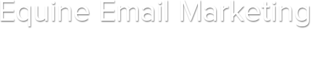 Equine Email Marketing - Eblast to 160,000 Horse Owners and Horse Businesses